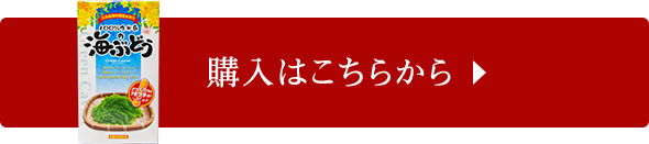 発掘 ウチナービケーン第1弾 久米島特集 車えび 海ぶどう等 イオンの沖縄土産 特産品通販サイト イオン琉球オンラインショップ